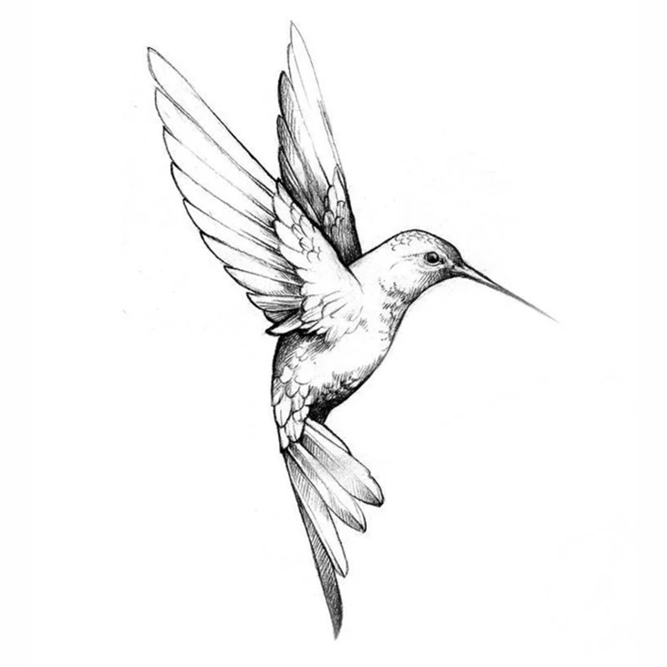 Realism bird tattoo